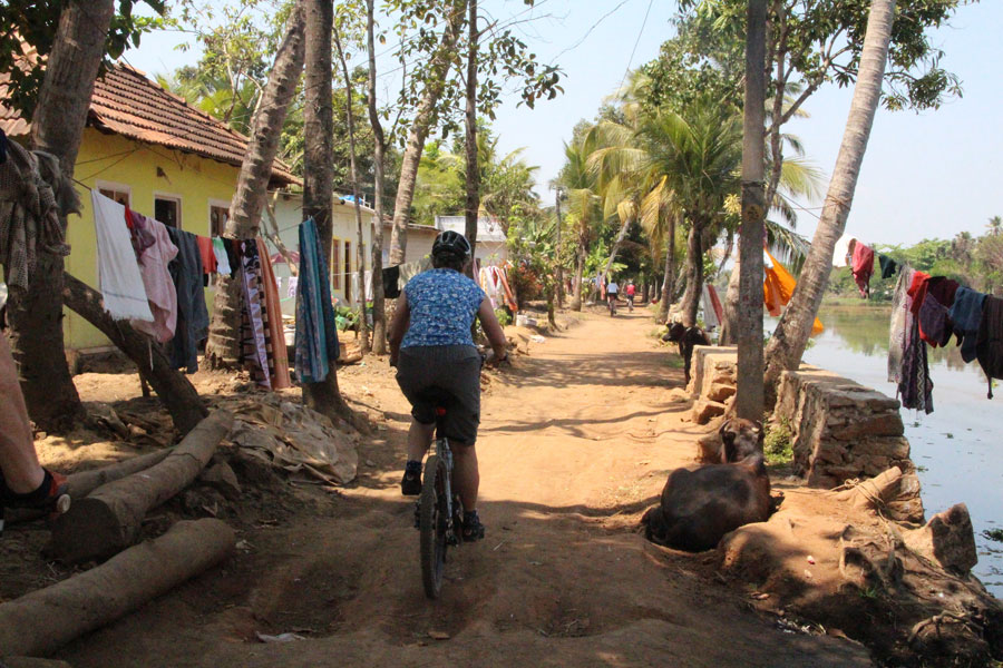 Cycling in Rajasthan