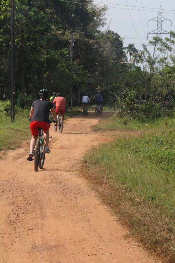 Cycling in Rajasthan